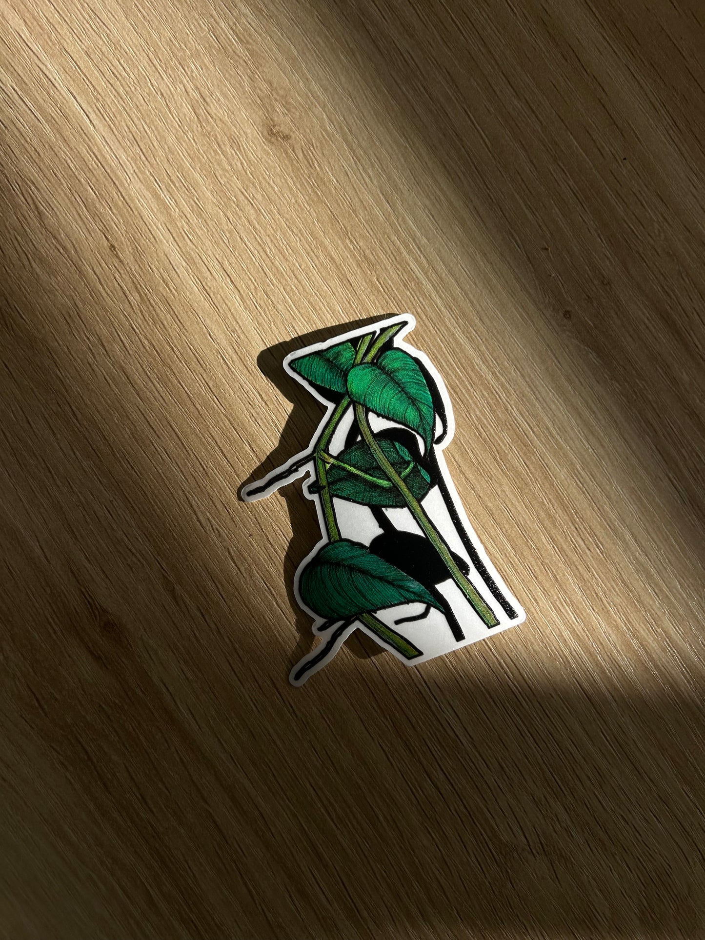 Leafs and shadow sticker
